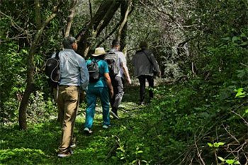 Caminatas por los Esteros del Iberá