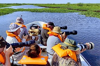 Excursiones en lancha por Portal Carambola Iberá