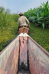 Excursión desde Concepción del Yaguareté Corá