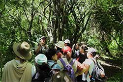 caminatas y trekking por iberá